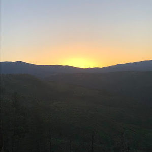 Meet your Posher, Wolfram